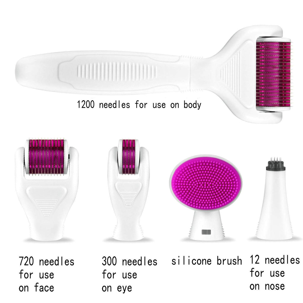 Derma Roller 6 in 1 Kit
