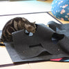 Image of Pet Cat Toy Durable Holed Blanket Play Mat