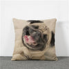 Image of Animal Cotton Cushion Pillow Cover 18x18 Inches