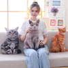 Image of 50cm Simulation Plush Cat Pillows