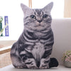 Image of 50cm Simulation Plush Cat Pillows