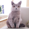 Image of 50cm Simulation Plush Cat Pillows