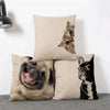 Image of Animal Cotton Cushion Pillow Cover 18x18 Inches