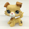 Image of pet shop toy cat collection 41 kinds of short hair tiger cat powder cat big dad sausage sausage dog shepherd toy - smallfish-2